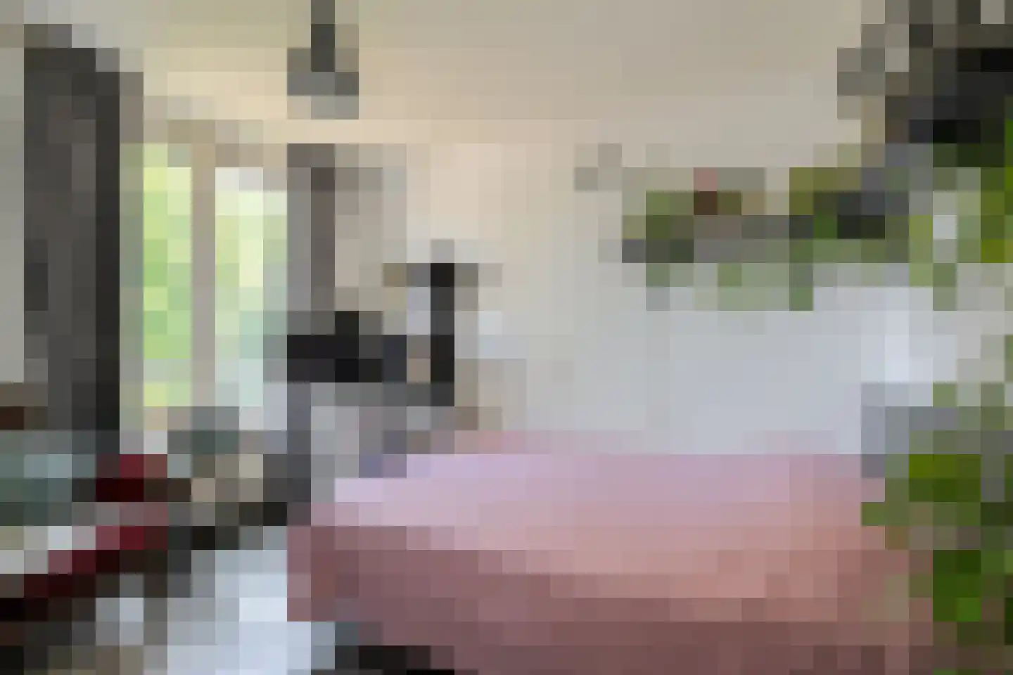 Beukenhof 39 Prinsenbeek thumbnail 24