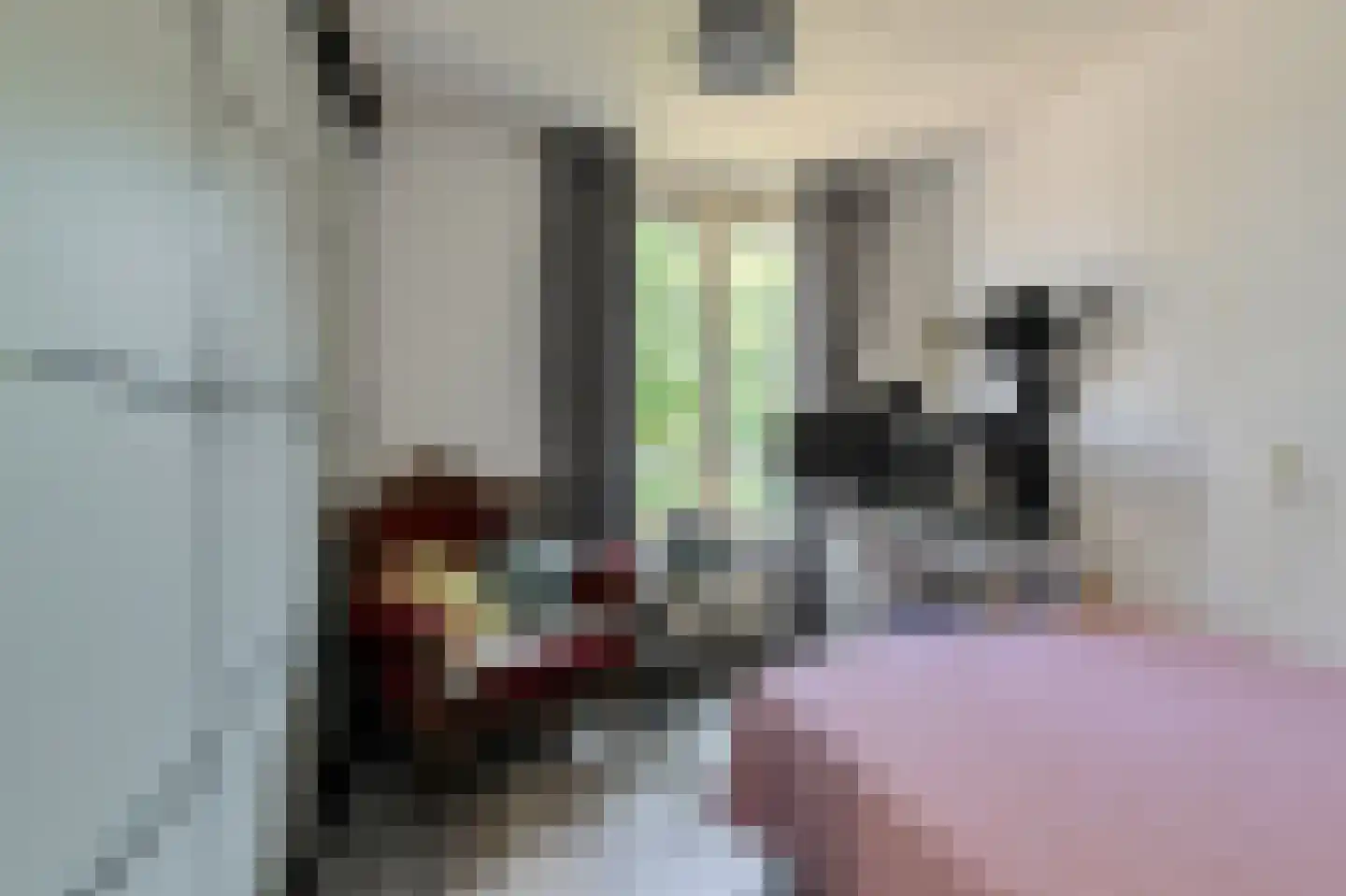Beukenhof 39 Prinsenbeek thumbnail 25
