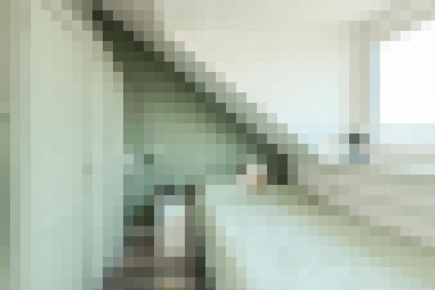 Beukenhof 39 Prinsenbeek thumbnail 33