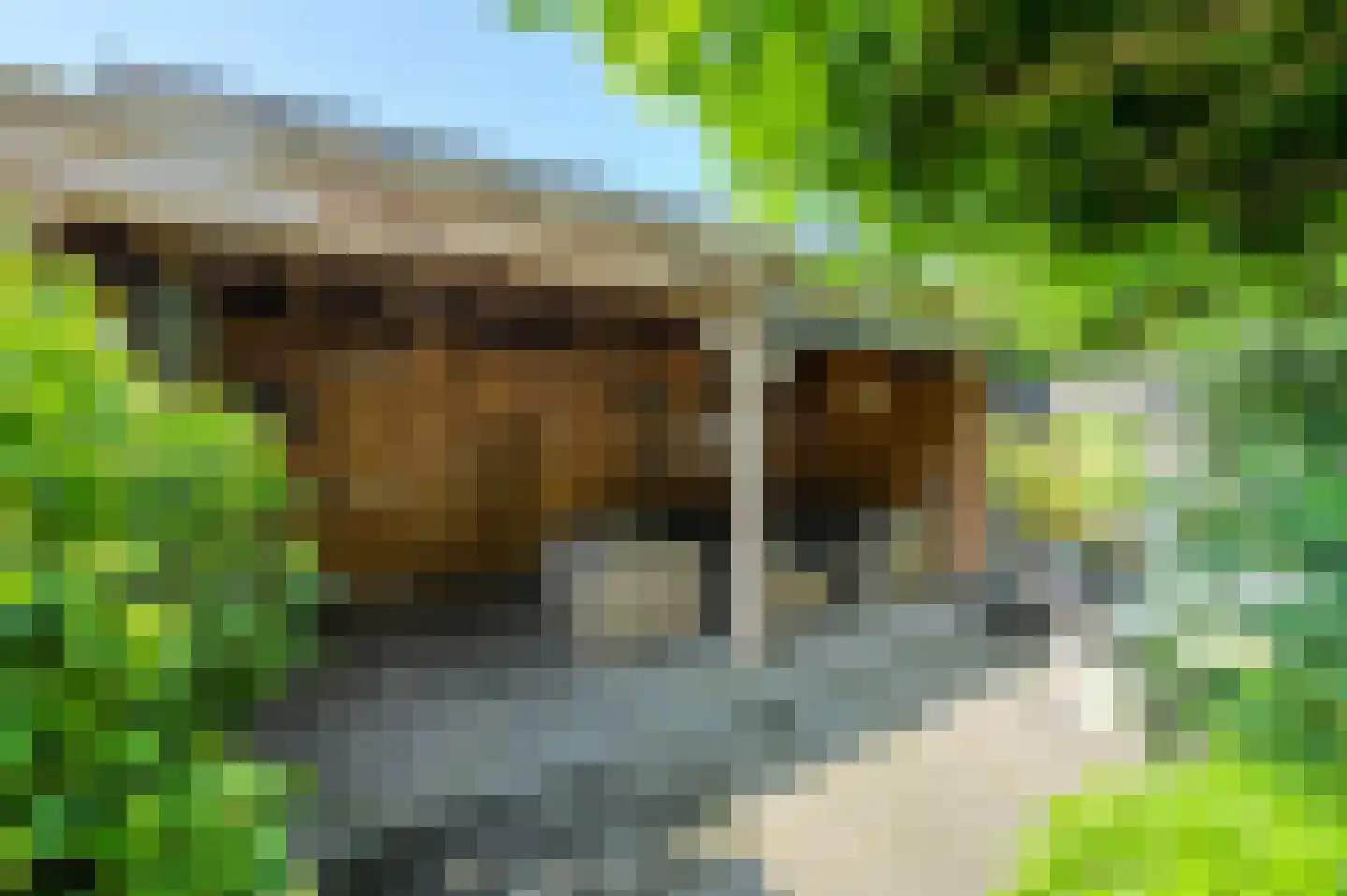 Beukenhof 39 Prinsenbeek thumbnail 41