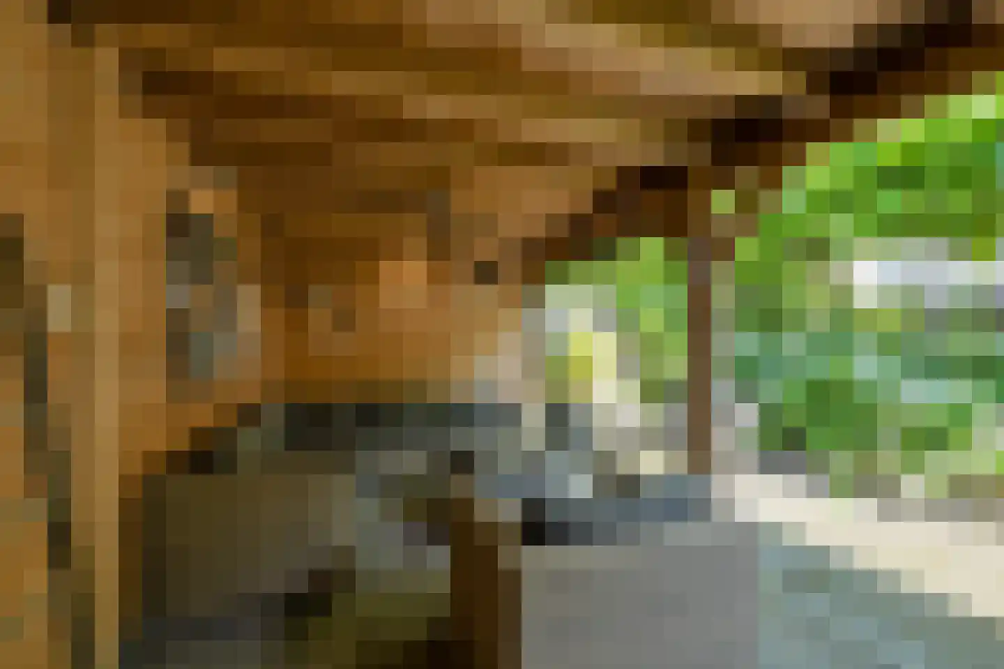 Beukenhof 39 Prinsenbeek thumbnail 42