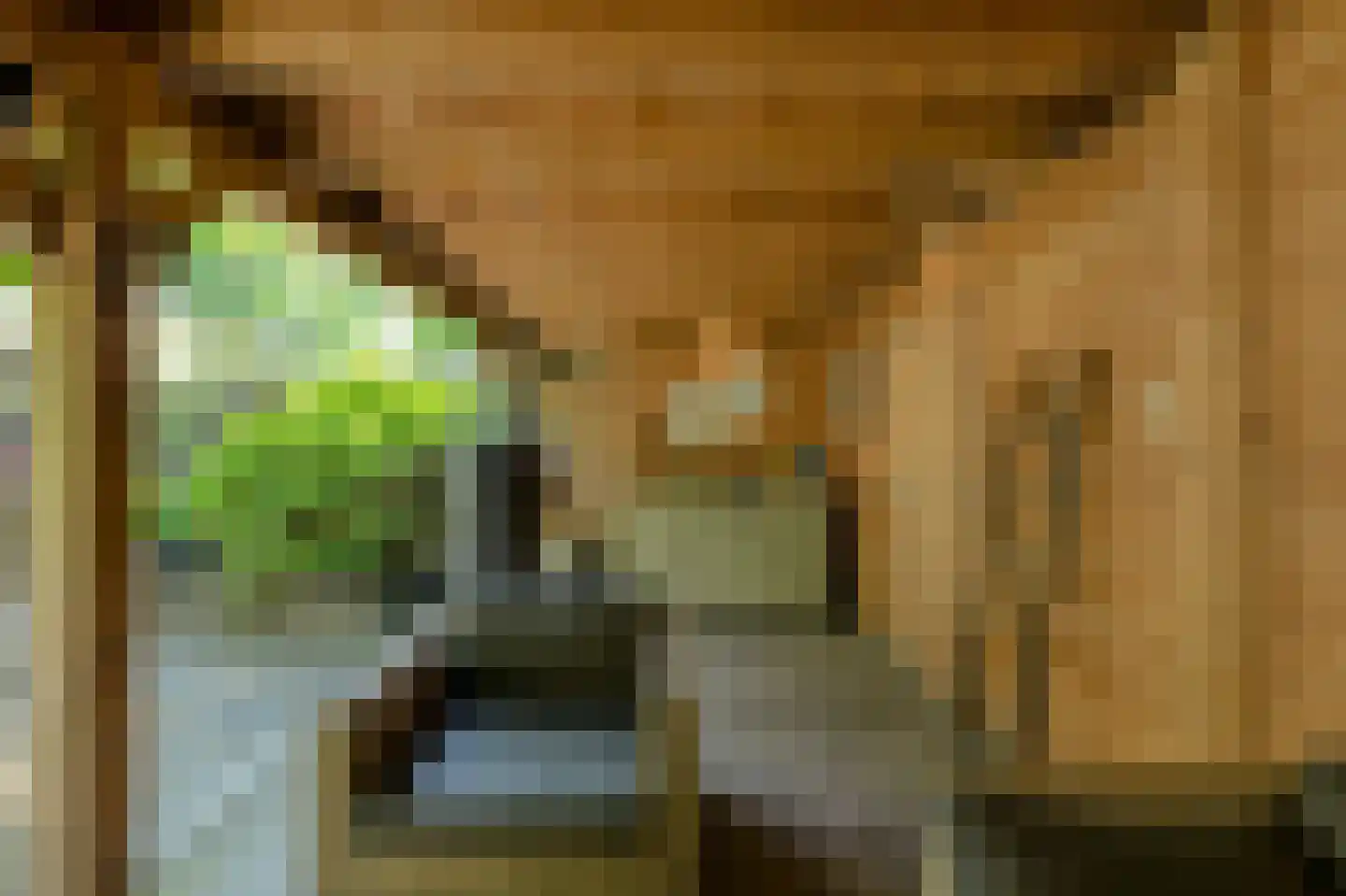 Beukenhof 39 Prinsenbeek thumbnail 43