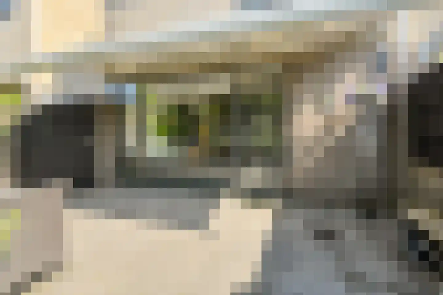 Beukenhof 39 Prinsenbeek thumbnail 46