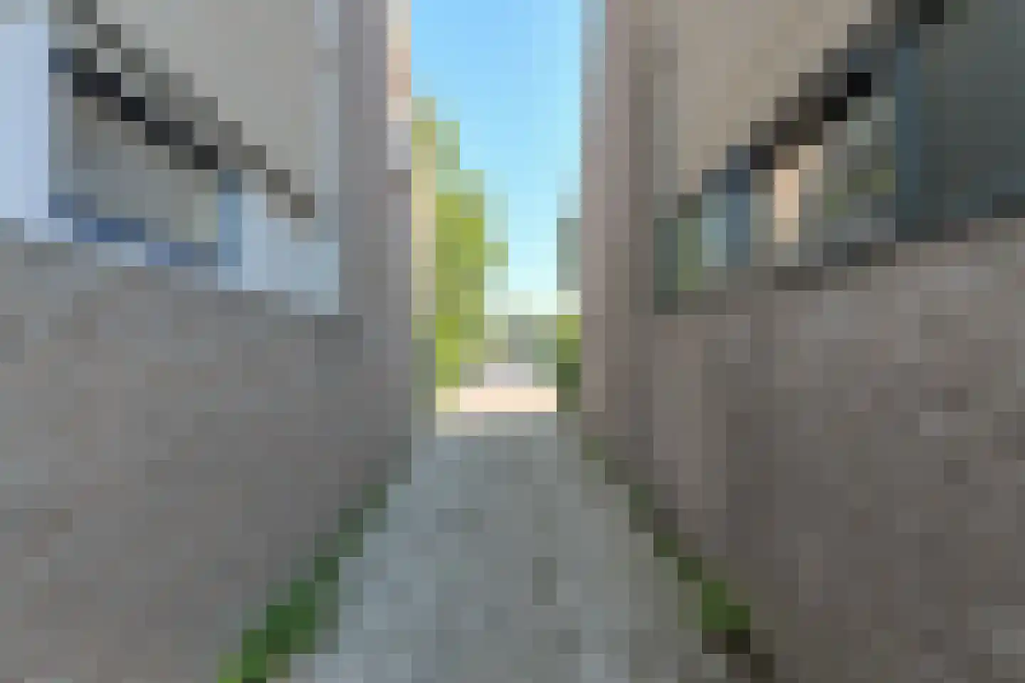 Beukenhof 39 Prinsenbeek thumbnail 47