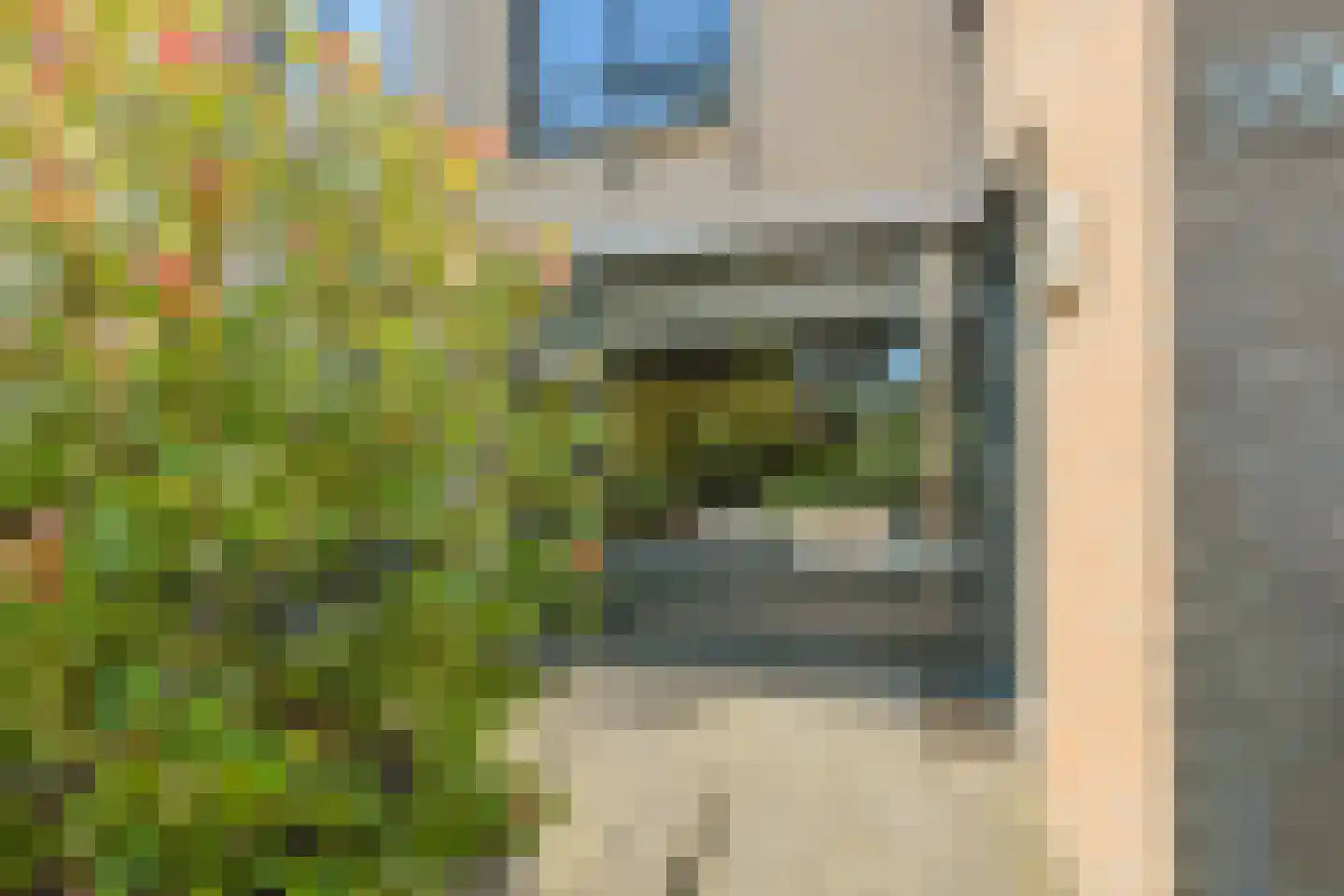 Beukenhof 39 Prinsenbeek thumbnail 50