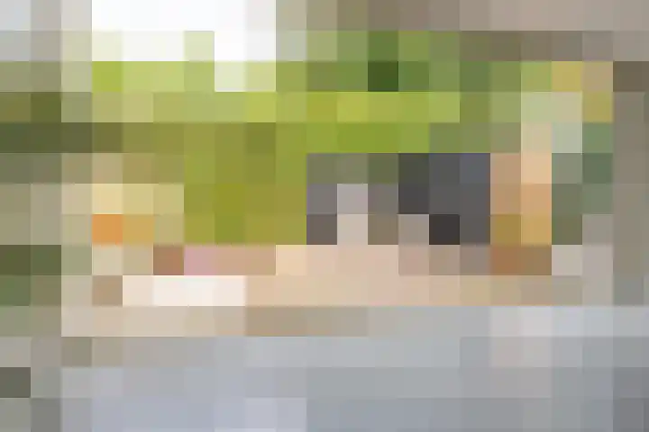 Beukenhof 4 Lage Vuursche thumbnail 20