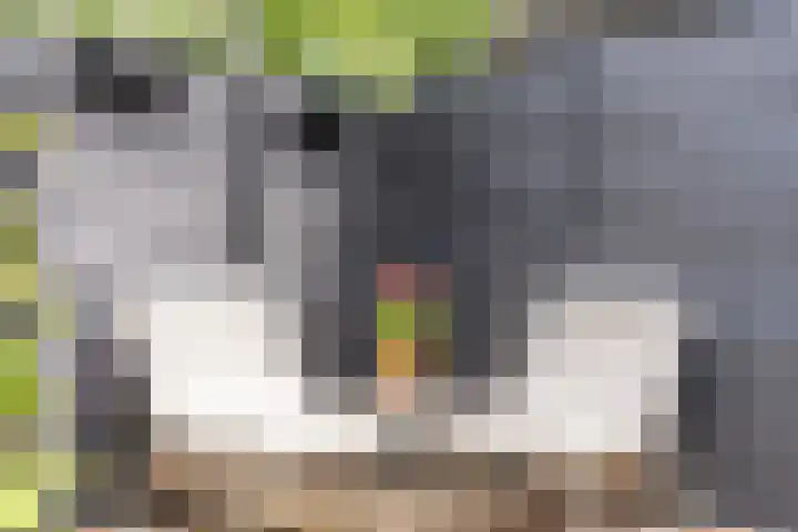Beukenhof 4 Lage Vuursche thumbnail 22