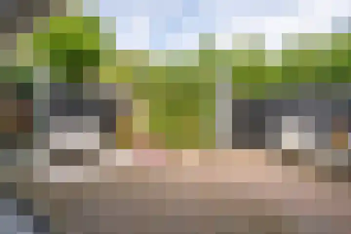 Beukenhof 4 Lage Vuursche thumbnail 23