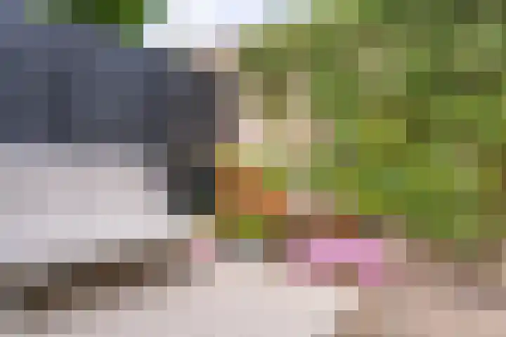 Beukenhof 4 Lage Vuursche thumbnail 24