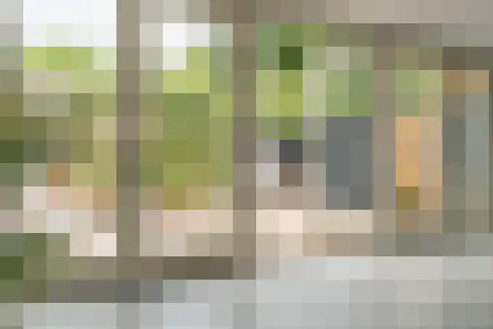 Beukenhof 4 Lage Vuursche thumbnail 26