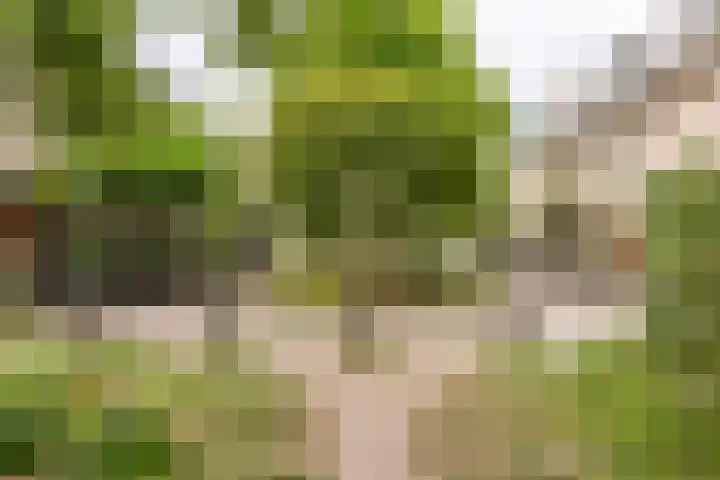 Beukenhof 4 Lage Vuursche thumbnail 44