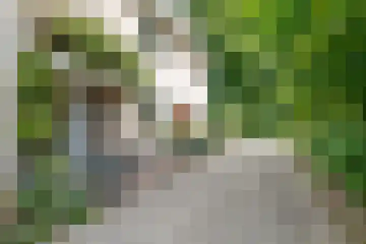 Beukenhof 4 Lage Vuursche thumbnail 45