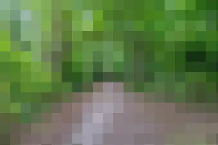 Beukenhof 4 Lage Vuursche thumbnail 46