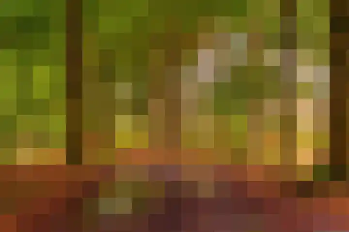 Beukenhof 4 Lage Vuursche thumbnail 47
