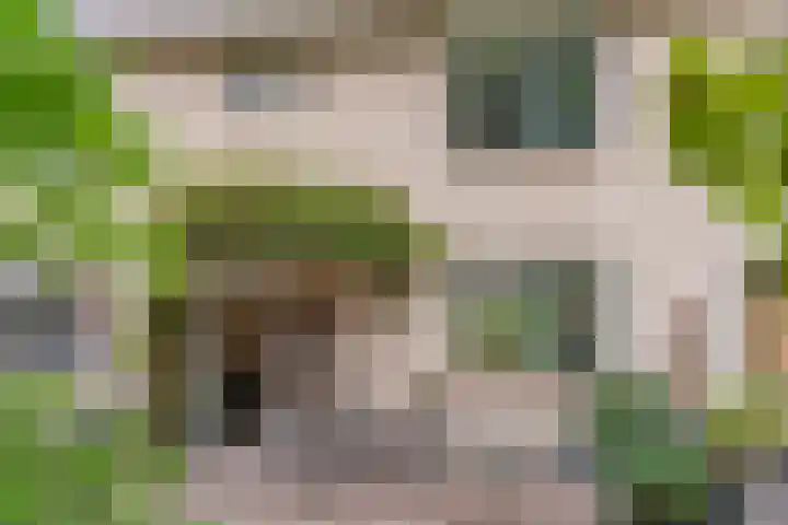 Beukenhof 4 Lage Vuursche thumbnail 5