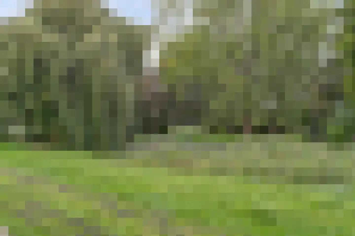 Beukenhof 58 Ridderkerk thumbnail 5