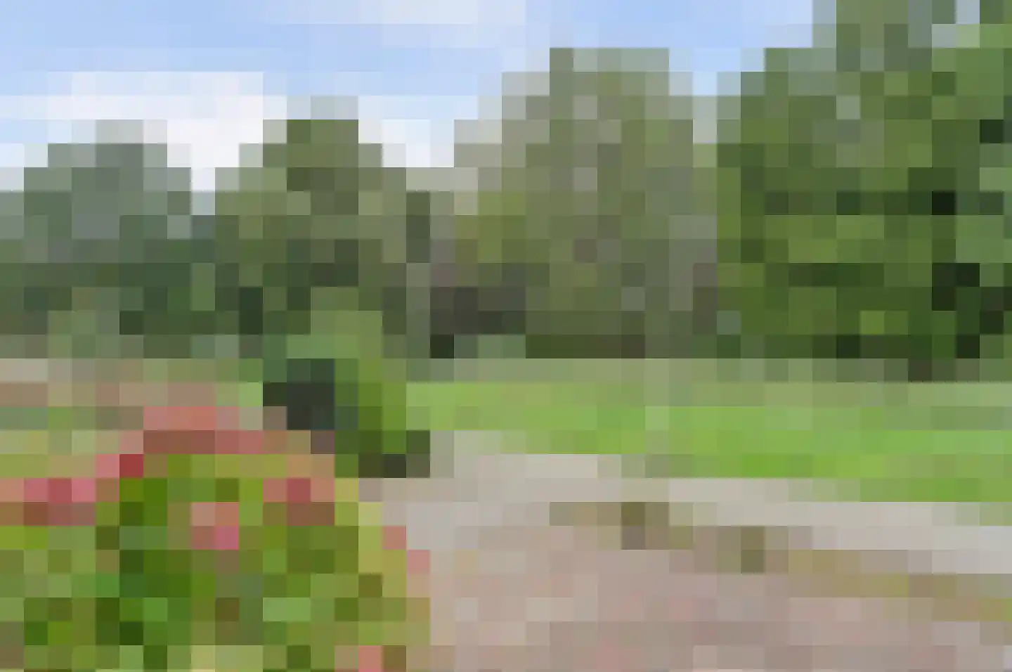 Beukenhof 58 Ridderkerk thumbnail 6
