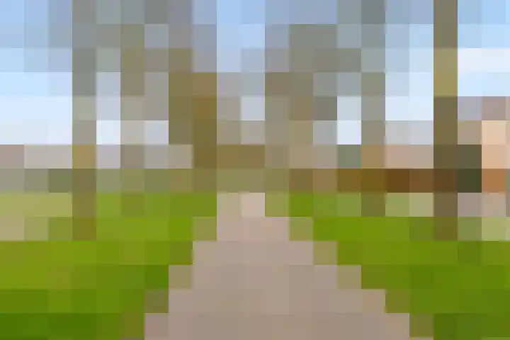Beukenhof 59 Lelystad thumbnail 51