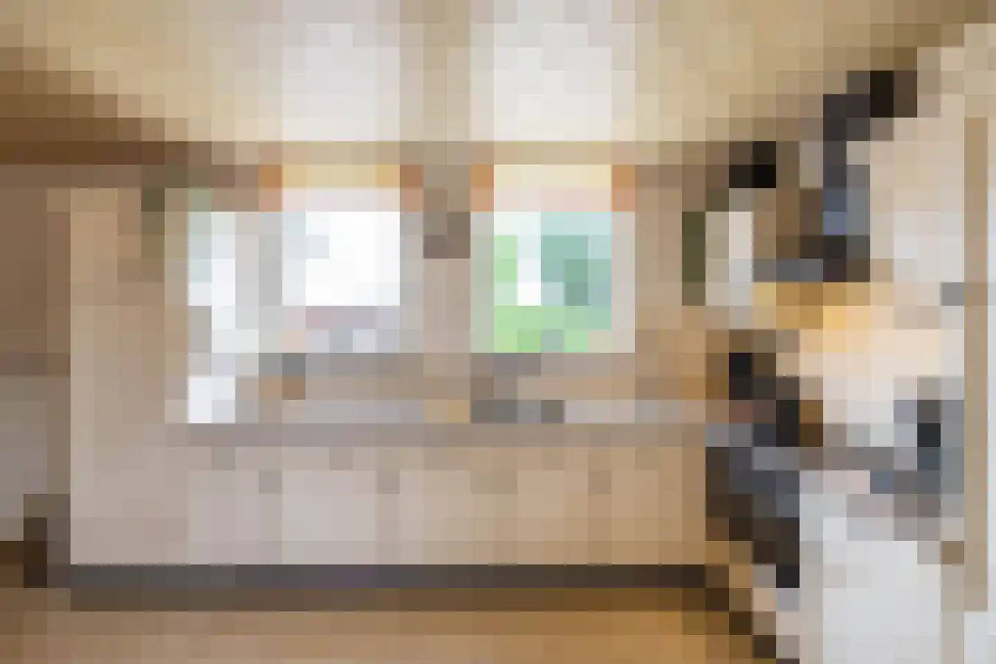 Beukenhof 6 Uithuizermeeden thumbnail 11