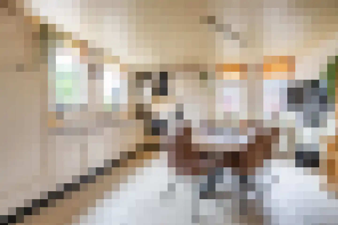 Beukenhof 6 Uithuizermeeden thumbnail 12