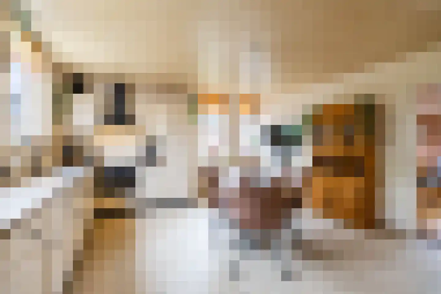 Beukenhof 6 Uithuizermeeden thumbnail 13