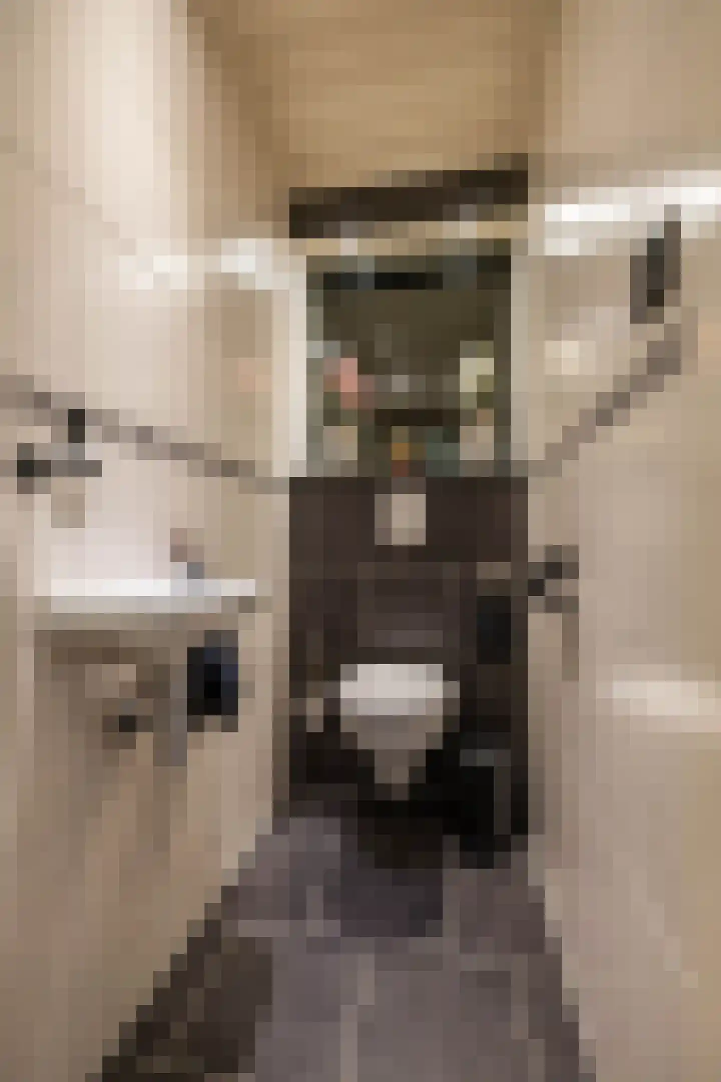 Beukenhof 6 Uithuizermeeden thumbnail 18