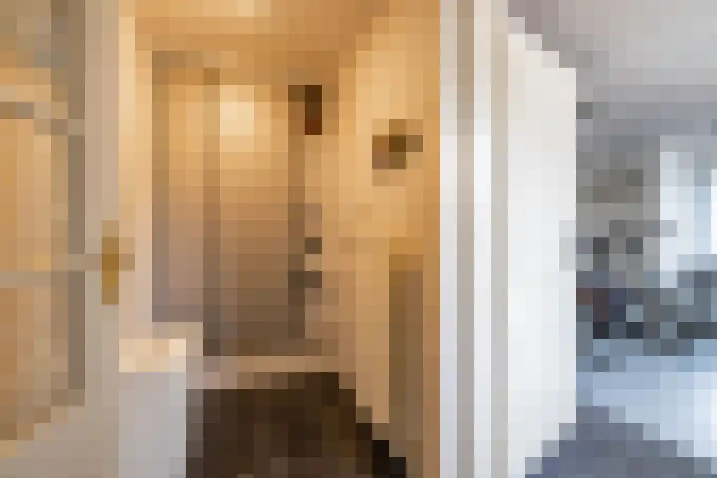 Beukenhof 6 Uithuizermeeden thumbnail 22