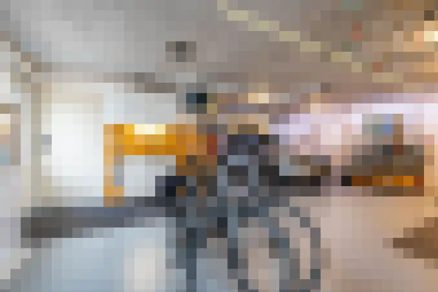 Beukenhof 6 Uithuizermeeden thumbnail 23