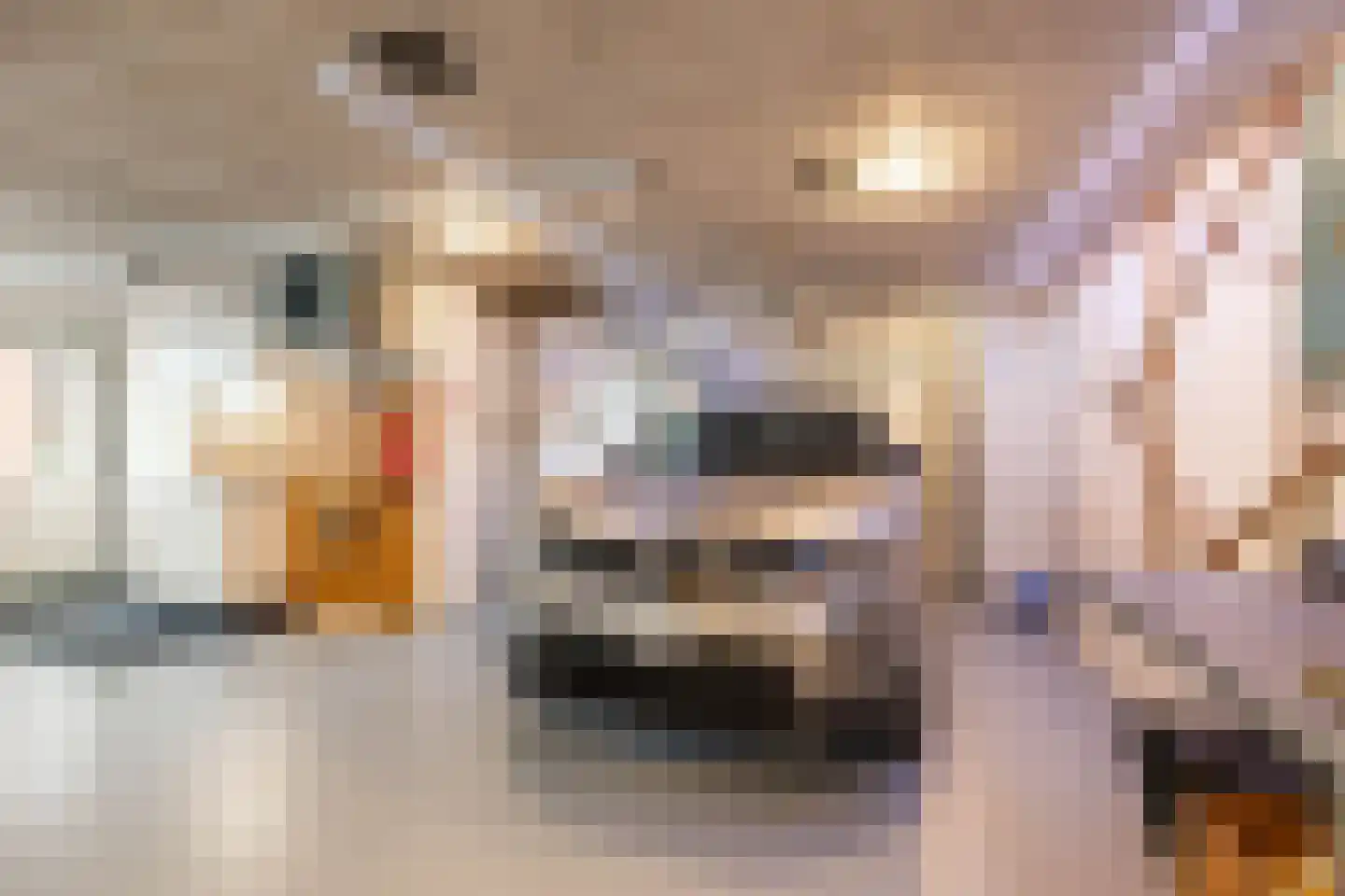 Beukenhof 6 Uithuizermeeden thumbnail 25