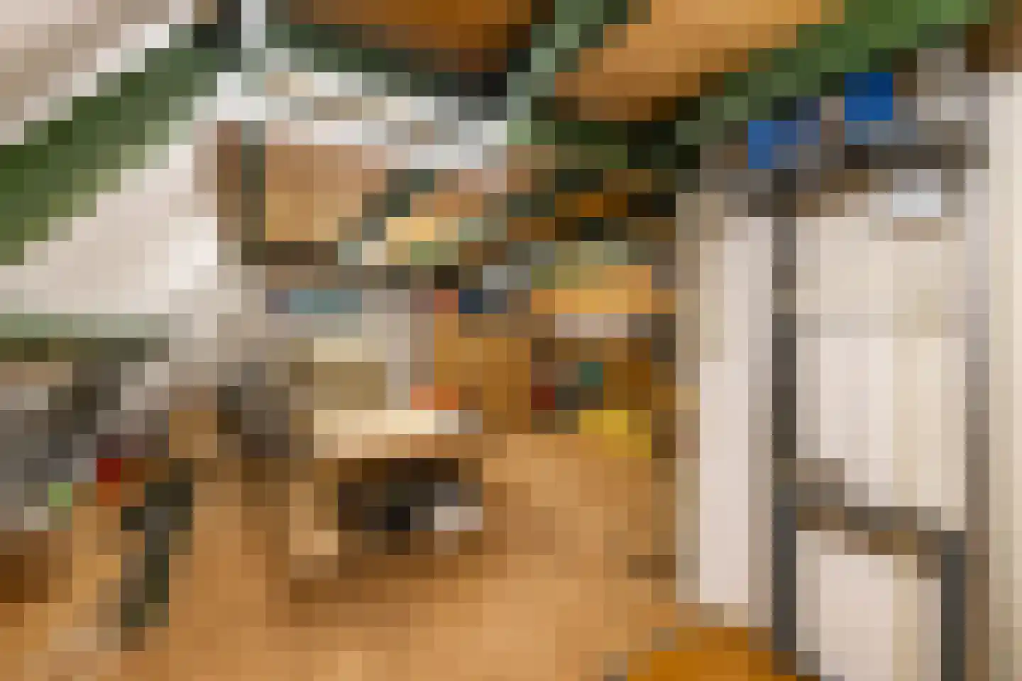 Beukenhof 6 Uithuizermeeden thumbnail 29
