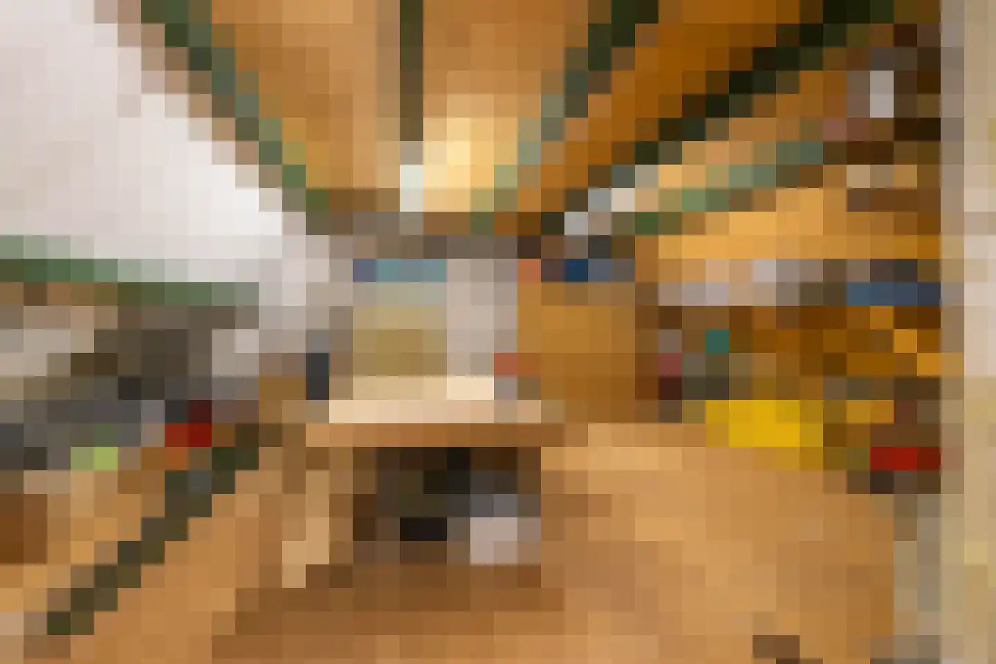 Beukenhof 6 Uithuizermeeden thumbnail 30