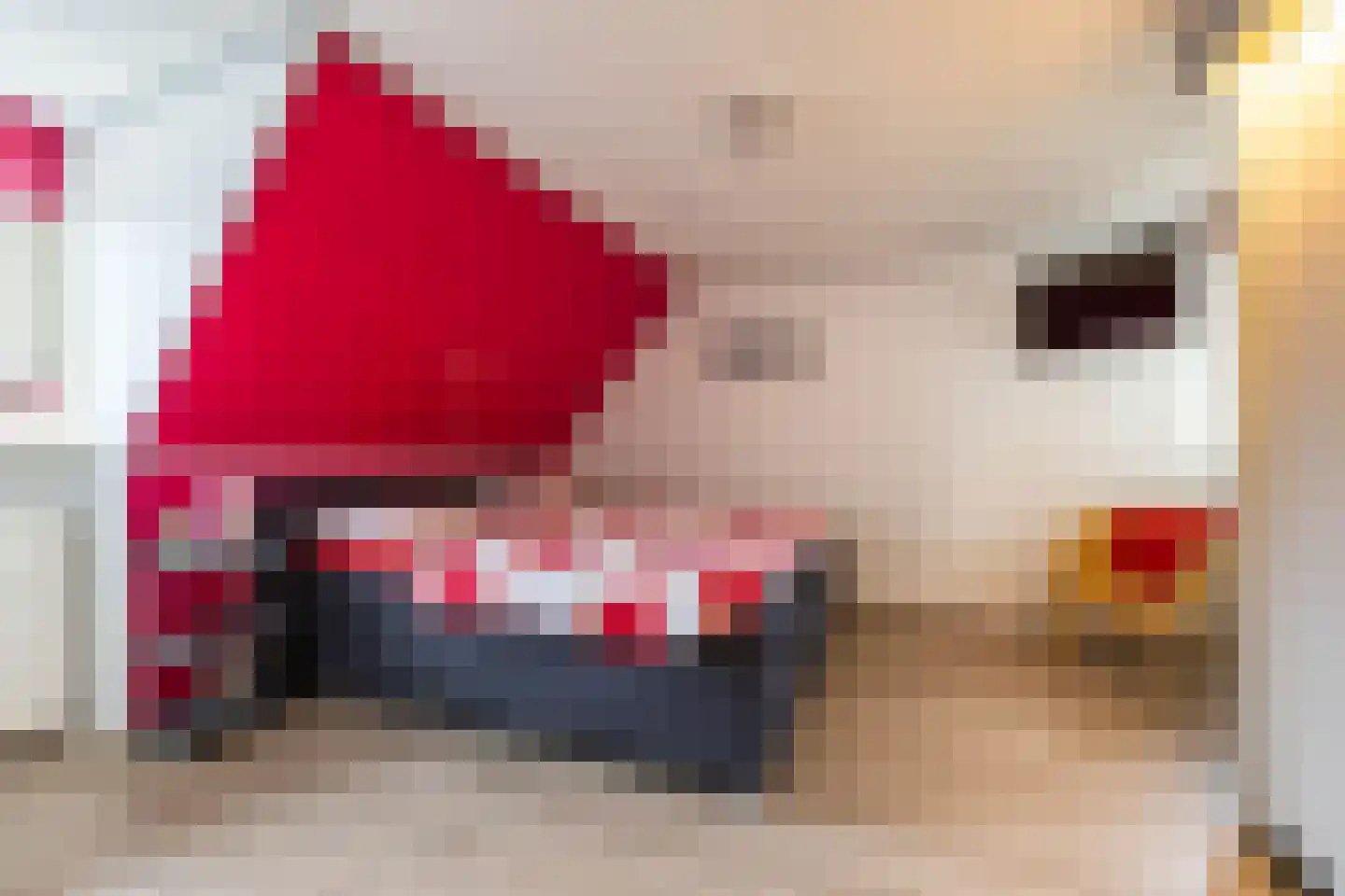 Beukenhof 6 Uithuizermeeden thumbnail 45
