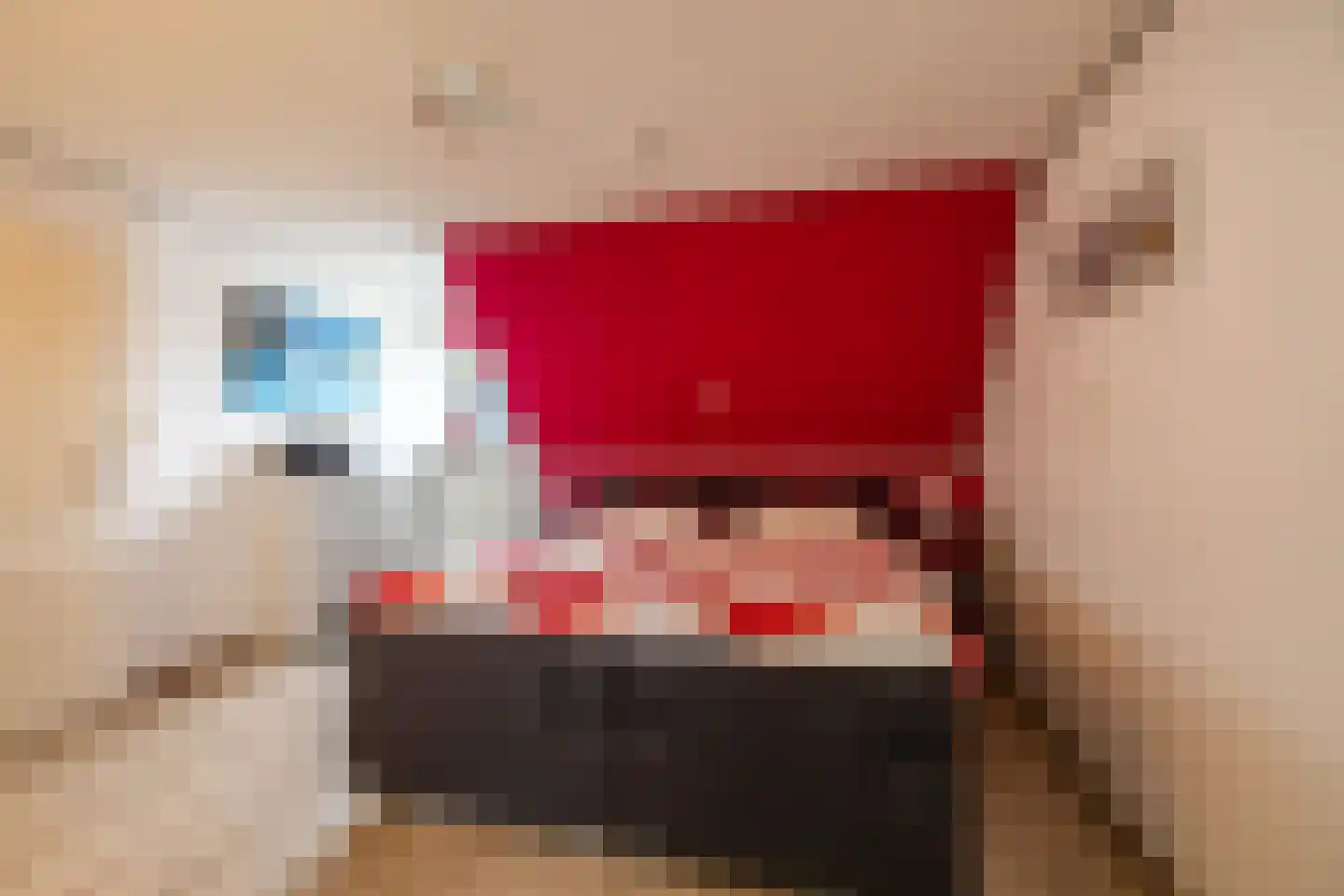 Beukenhof 6 Uithuizermeeden thumbnail 46