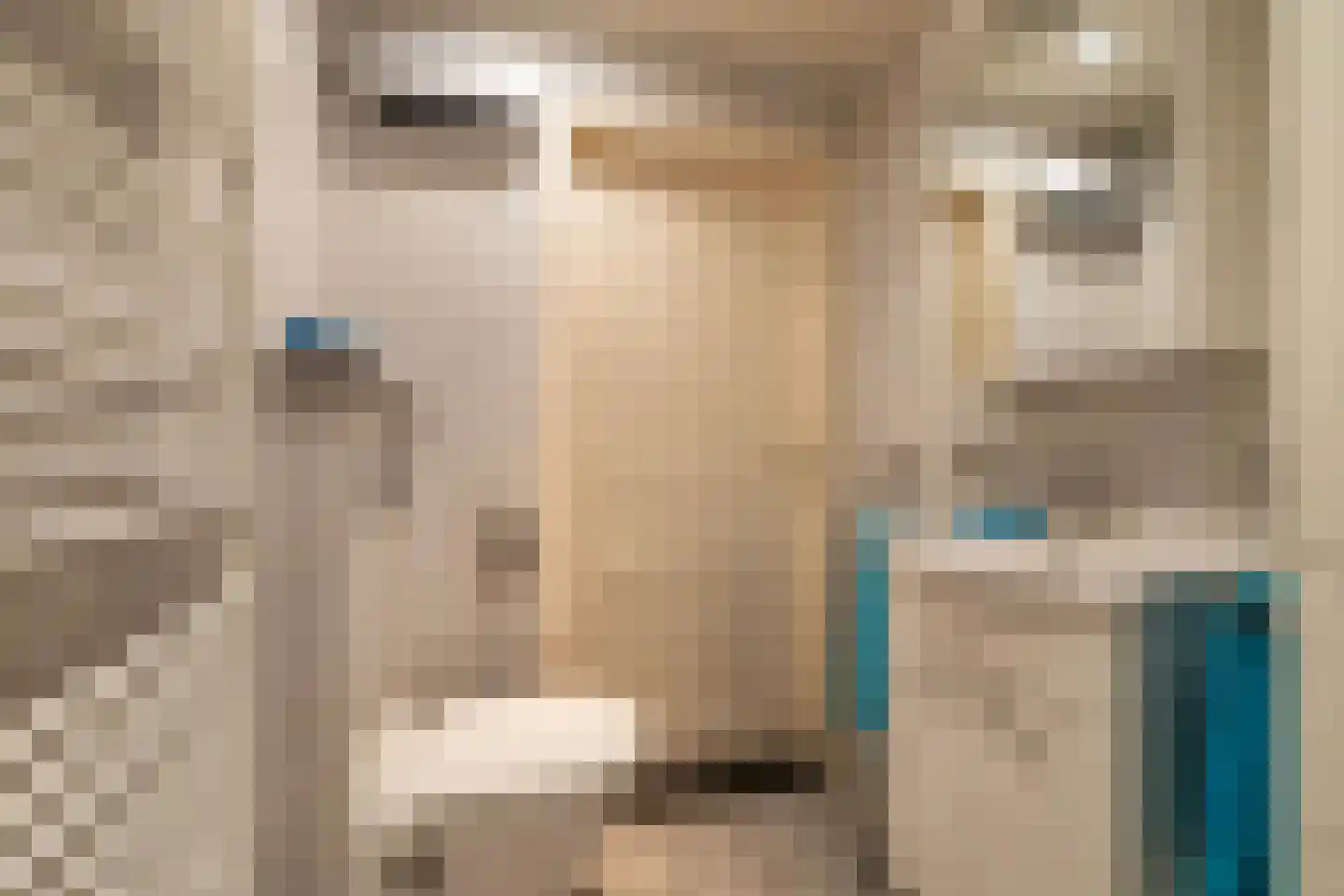 Beukenhof 6 Uithuizermeeden thumbnail 52