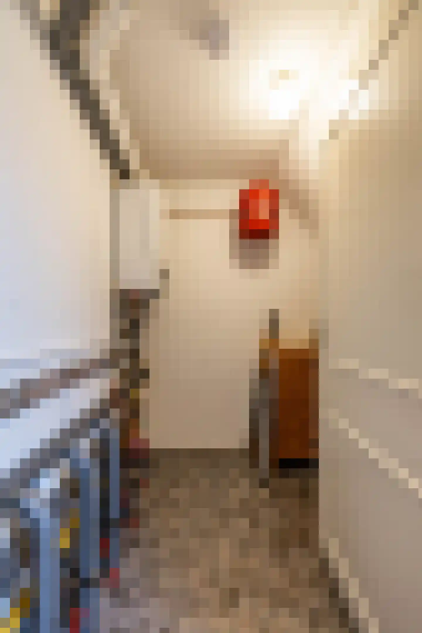 Beukenhof 6 Uithuizermeeden thumbnail 53