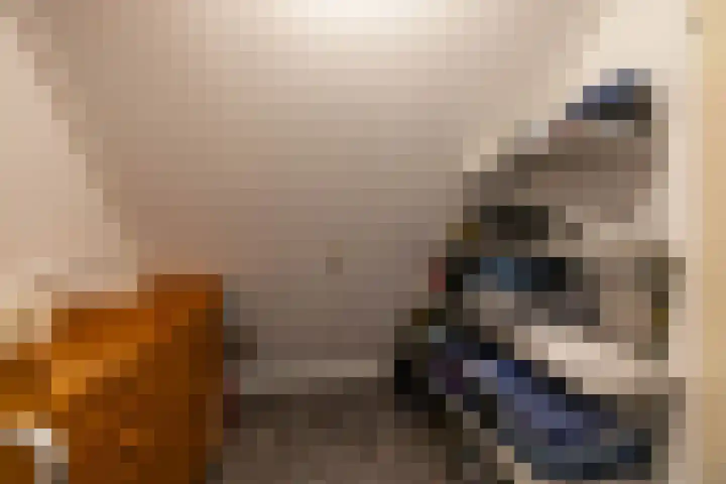 Beukenhof 6 Uithuizermeeden thumbnail 54