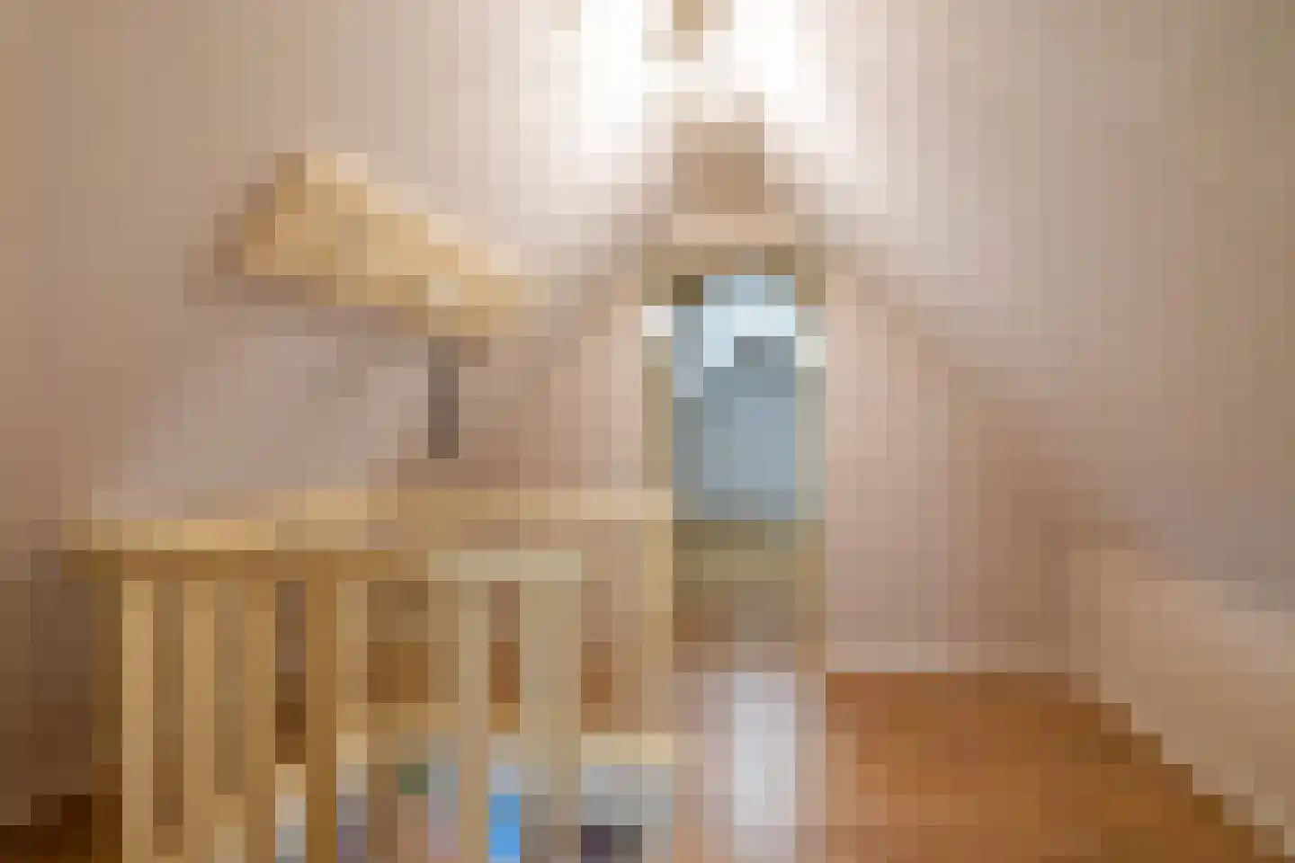 Beukenhof 6 Uithuizermeeden thumbnail 59