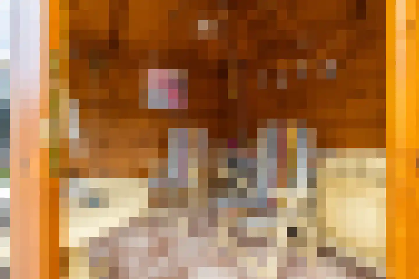 Beukenhof 6 Uithuizermeeden thumbnail 66