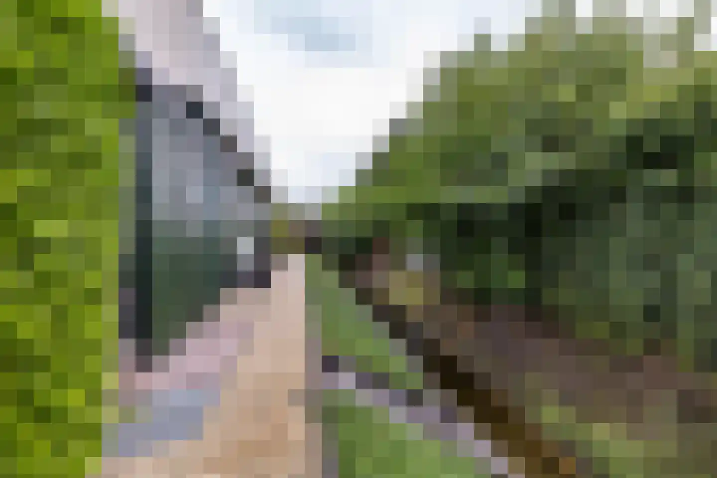 Beukenhof 6 Uithuizermeeden thumbnail 73