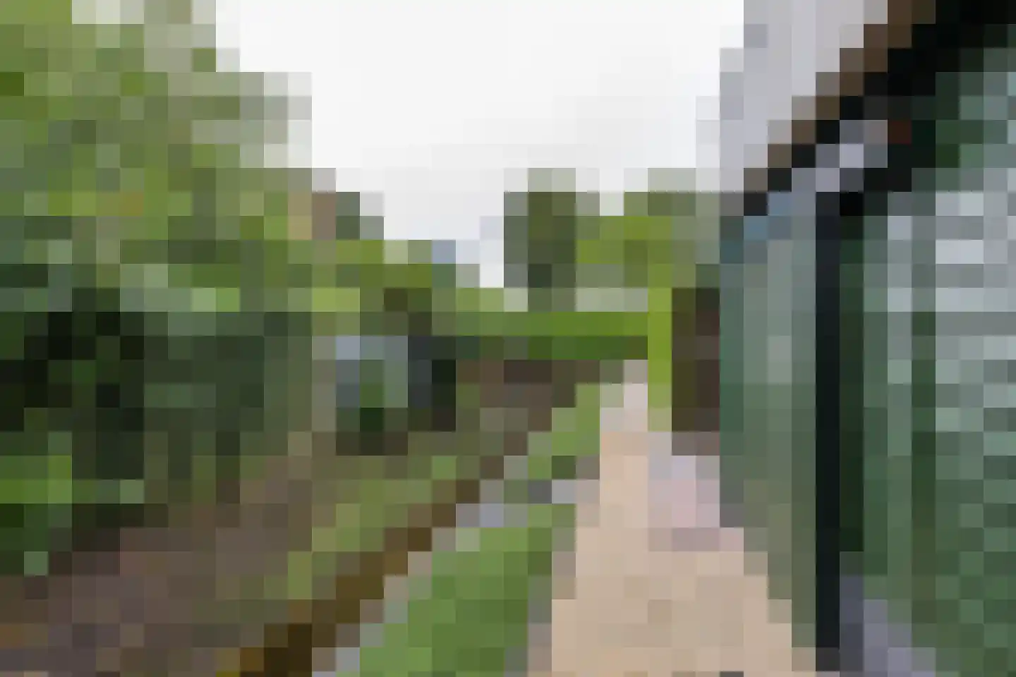 Beukenhof 6 Uithuizermeeden thumbnail 74