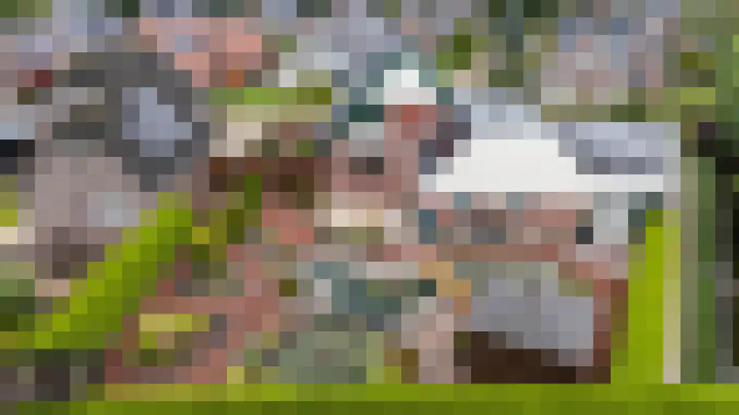 Beukenhof 6 Uithuizermeeden thumbnail 78