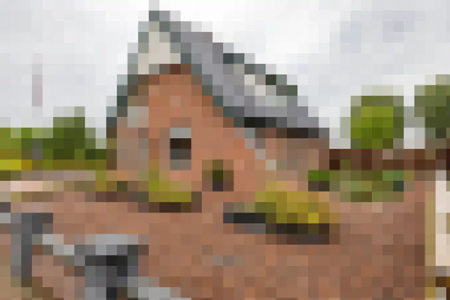 Beukenhof 6 Uithuizermeeden thumbnail 79