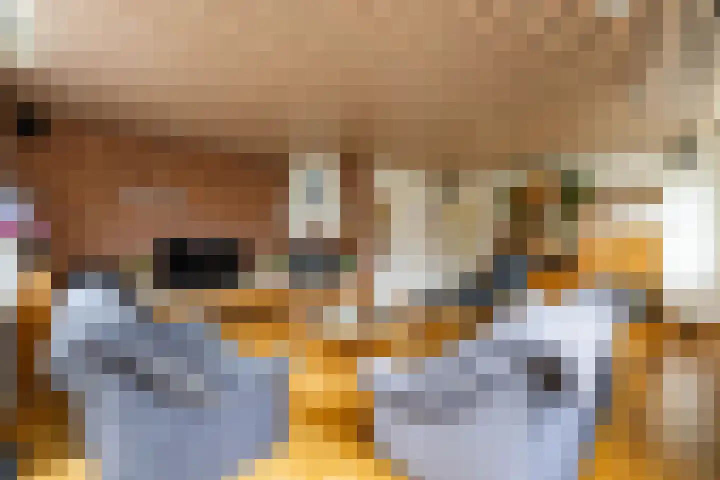 Beukenhof 6 Uithuizermeeden thumbnail 8