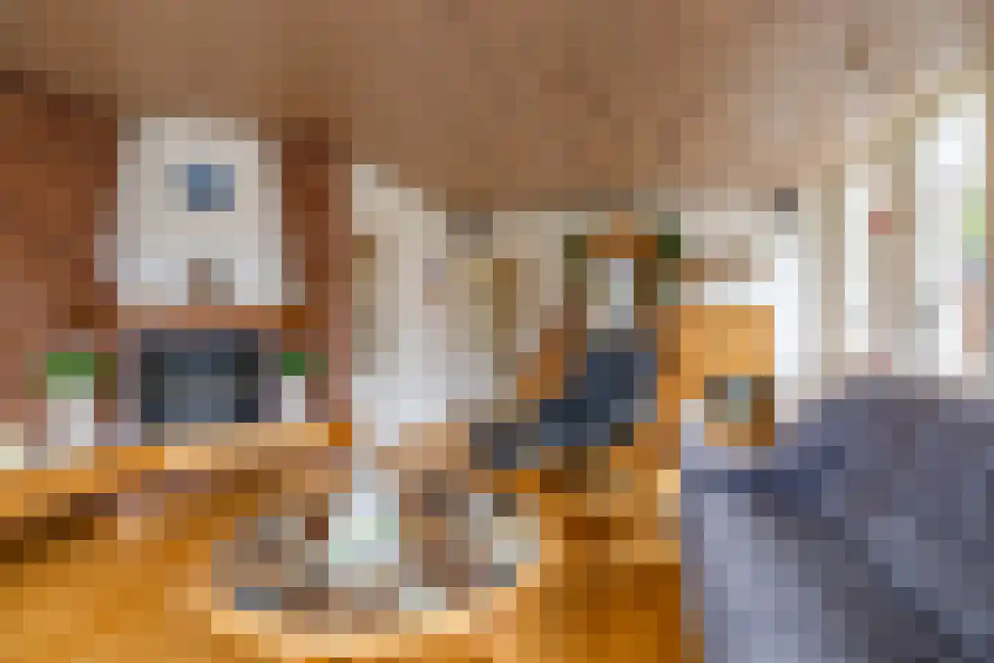 Beukenhof 6 Uithuizermeeden thumbnail 9