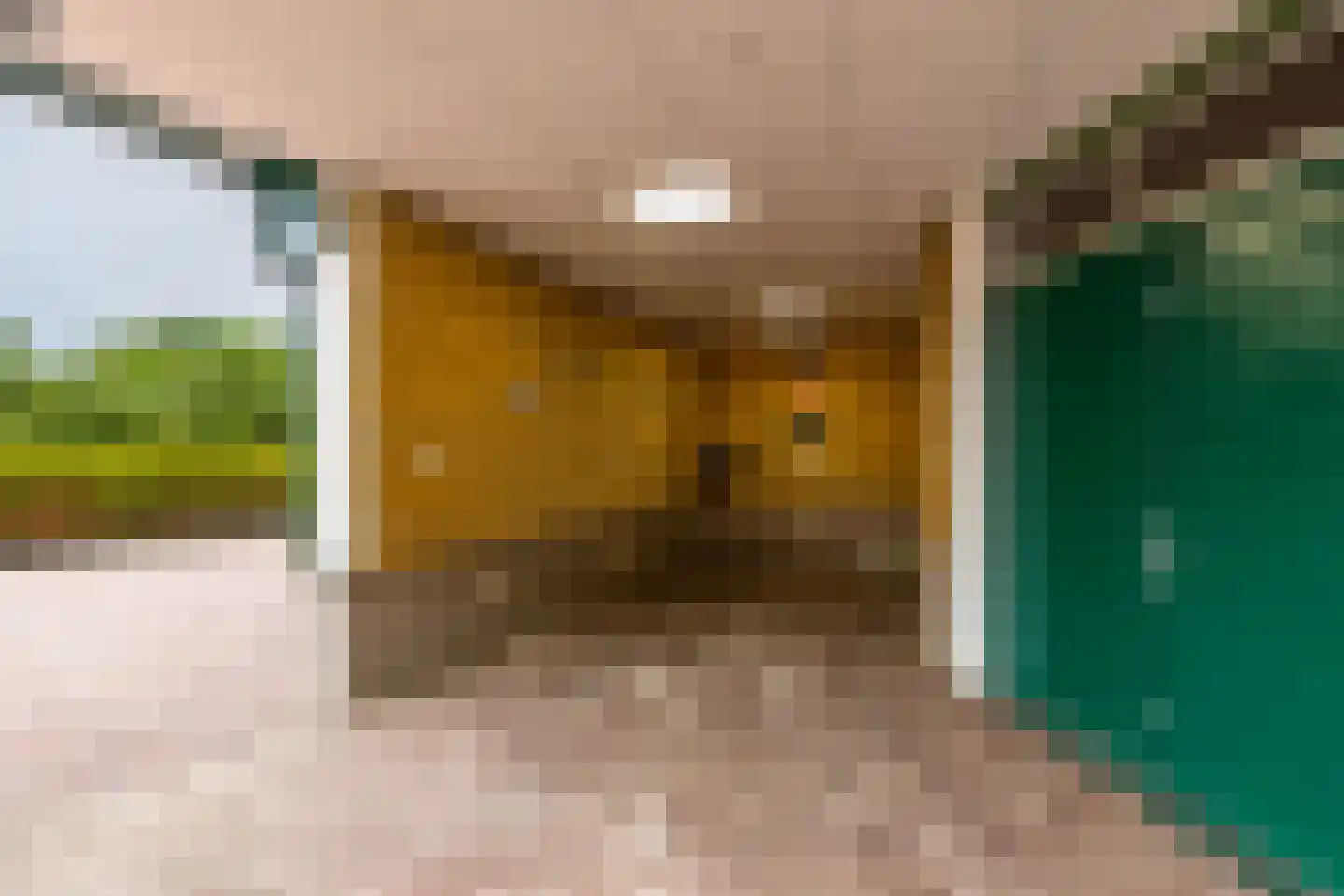 Beukenhof 6 Uithuizermeeden thumbnail 94