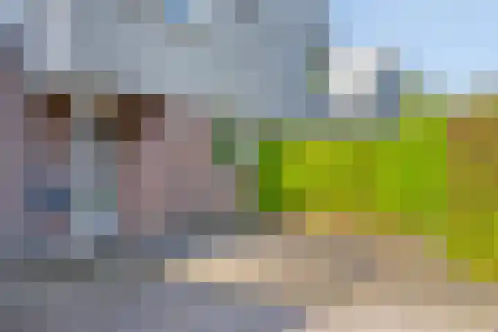 Beukenhof 68 Lelystad thumbnail 6