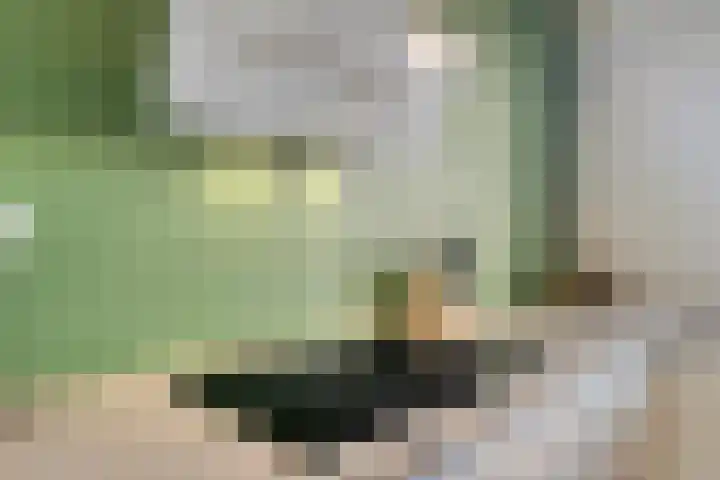 Beukenhof 7 Drunen thumbnail 13