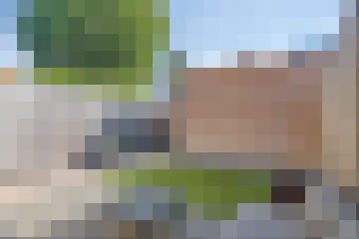 Beukenhof 7 Drunen thumbnail 35