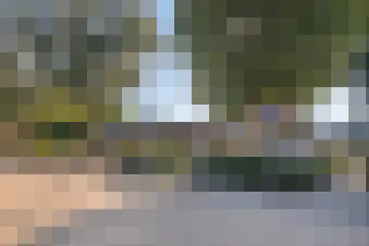 Beukenhof 7 Drunen thumbnail 42