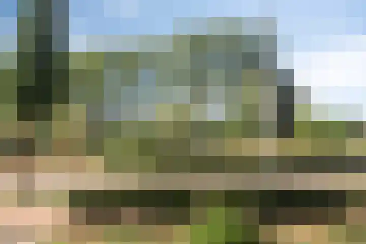 Beukenhof 7 Drunen thumbnail 43